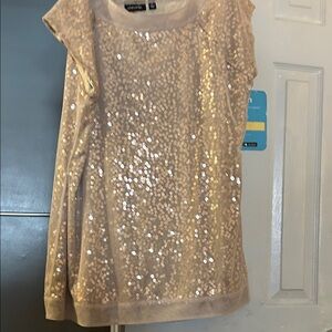 Chit Chat Beige Sequin Skirt Set